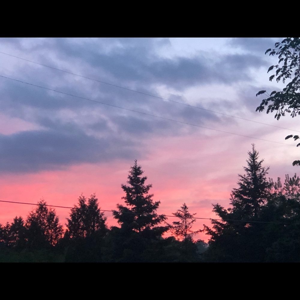 Meet your Posher, Shelby